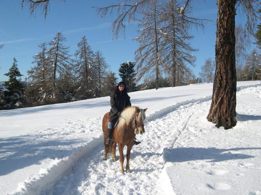Tschoegglbergerhof San Genesio Atesino